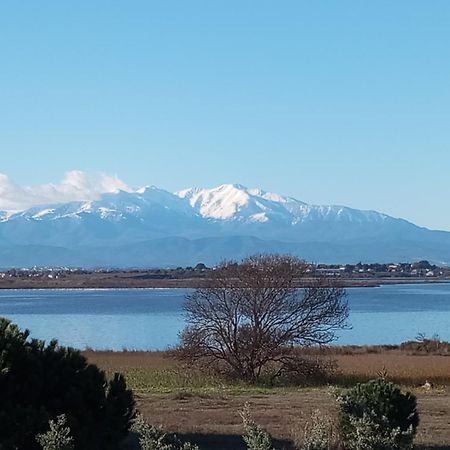 Apartamento Le Capestang Canet-en-Roussillon Exterior foto