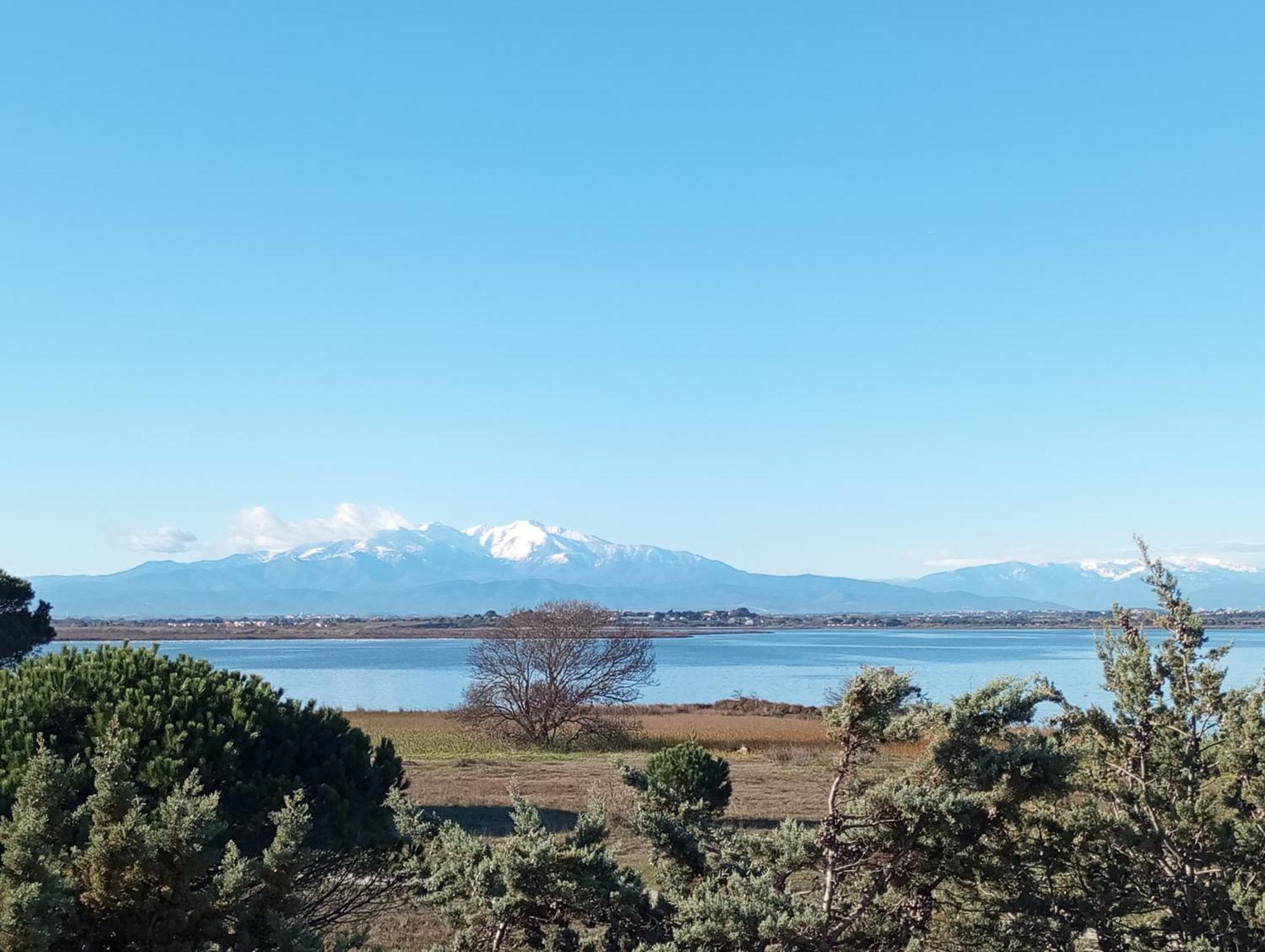 Apartamento Le Capestang Canet-en-Roussillon Exterior foto