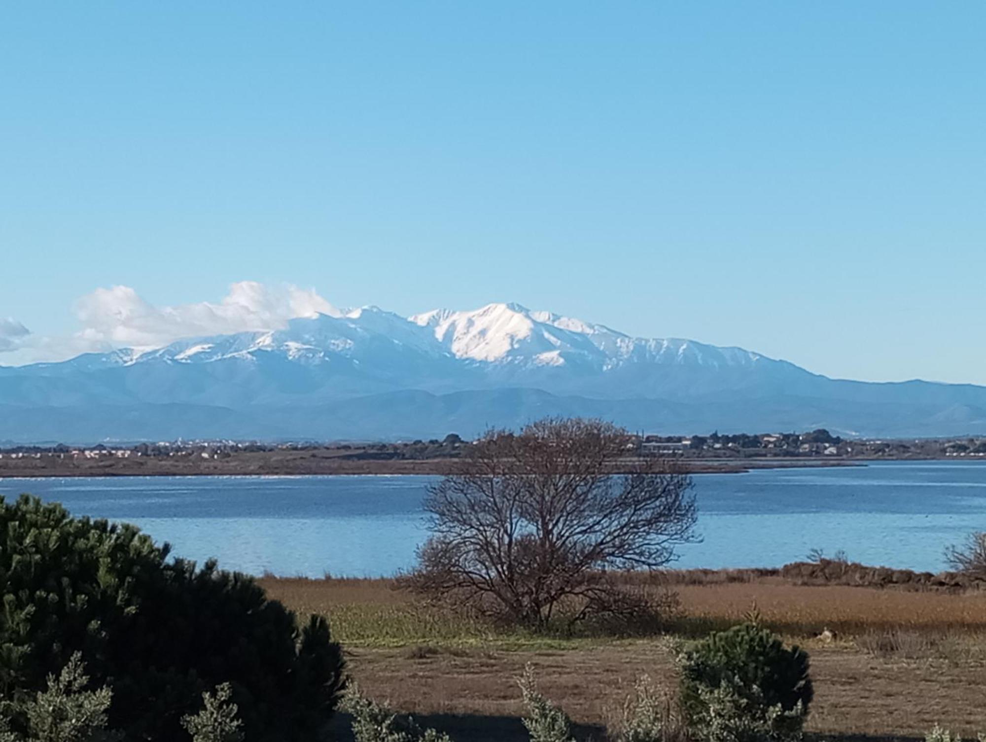 Apartamento Le Capestang Canet-en-Roussillon Exterior foto